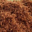 Is-Coco-Coir-a-Hydroponics