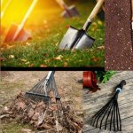 Awesome Yard Tools Every Homeowner Needs In 2020