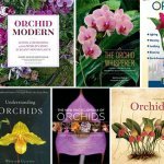 Best Orchid Books In 2020 – With Detailed Review