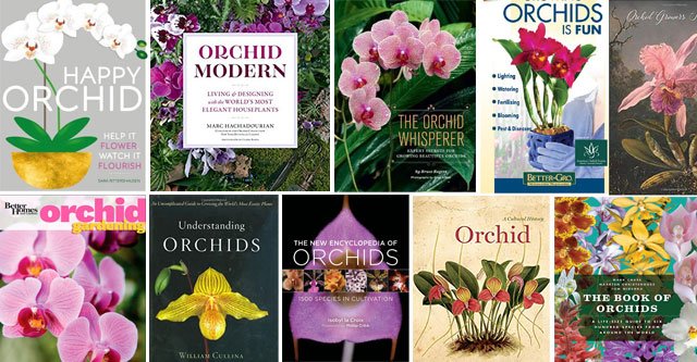 Best Orchid Books In 2020 – With Detailed Review